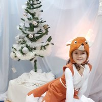 КОСТЮМ ЛИСИЦА